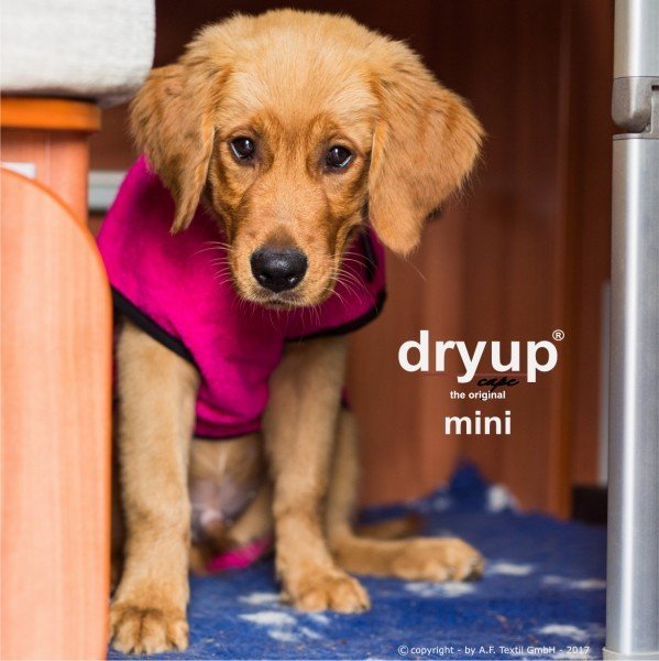 Dryup Cape Pink Mini