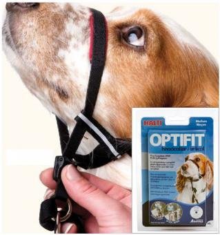 Original Halti "OPTIFIT" der Firma Company of animals